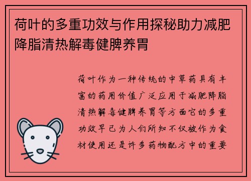荷叶的多重功效与作用探秘助力减肥降脂清热解毒健脾养胃